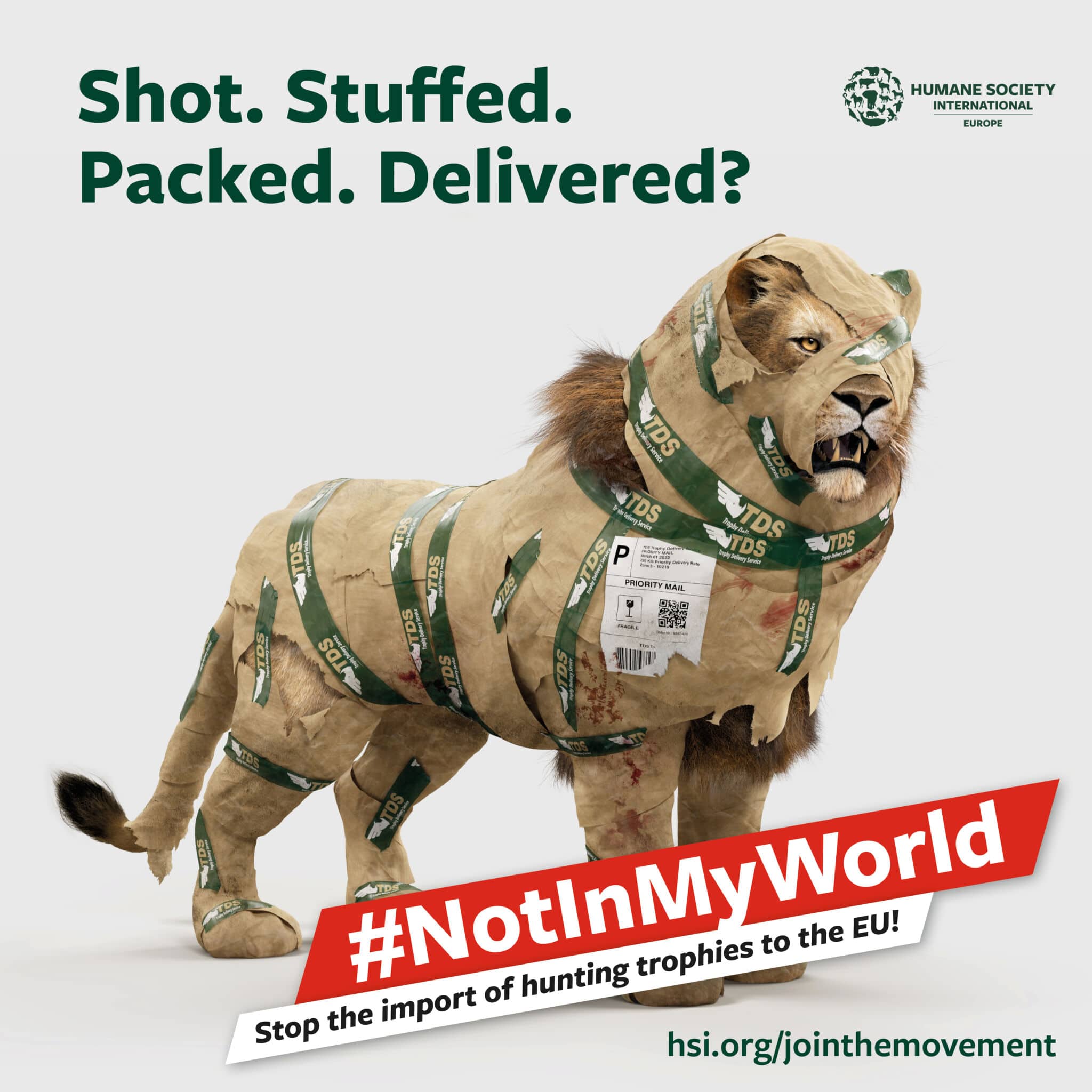 campaign-notinmyworld-lion